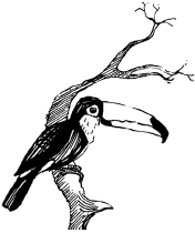 Энциклопедия животных - i_091.png