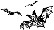 Энциклопедия животных - i_095.png