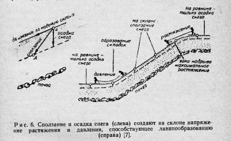Тайна аварии Дятлова - i_075.jpg