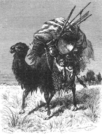 Еврейская диетология, или Расшифрованный кашрут - pic_9.png