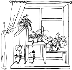 Энциклопедия комнатных растений - i_042.png