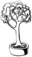 Энциклопедия комнатных растений - i_050.png