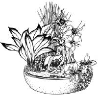 Энциклопедия комнатных растений - i_068.png