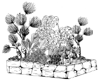 Энциклопедия комнатных растений - i_069.png
