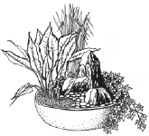 Энциклопедия комнатных растений - i_070.png