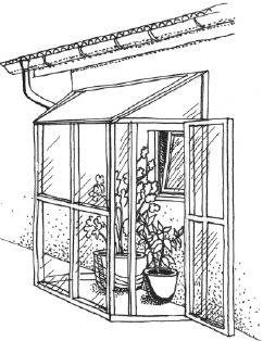 Энциклопедия комнатных растений - i_080.png