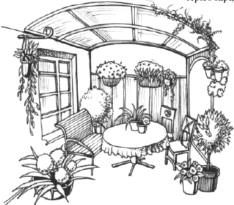 Энциклопедия комнатных растений - i_082.png