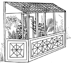 Энциклопедия комнатных растений - i_084.png
