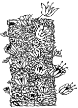 Энциклопедия комнатных растений - i_088.png