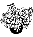 Энциклопедия комнатных растений - i_091.png