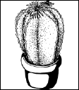 Энциклопедия комнатных растений - i_101.png