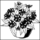 Энциклопедия комнатных растений - i_105.png