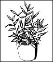 Энциклопедия комнатных растений - i_109.png