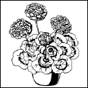 Энциклопедия комнатных растений - i_116.png