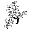 Энциклопедия комнатных растений - i_131.png