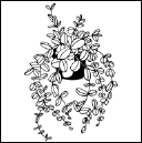 Энциклопедия комнатных растений - i_168.png