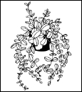 Энциклопедия комнатных растений - i_170.png