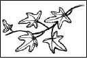 Энциклопедия комнатных растений - i_172.png