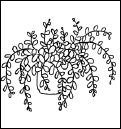 Энциклопедия комнатных растений - i_193.png
