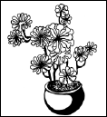 Энциклопедия комнатных растений - i_200.png