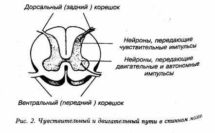 Искусство не стареть - image1.jpg