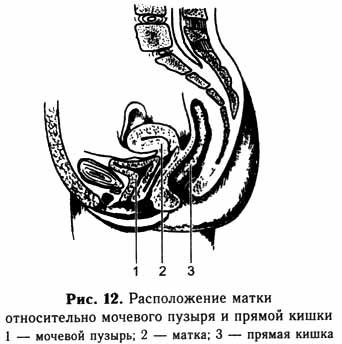 Тренировка тела и духа - i_009.jpg