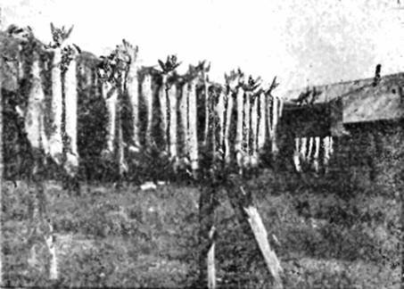 На самолете в Восточной Арктике - i_014.jpg