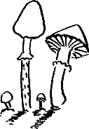 Домовенок Кузька - image32.png