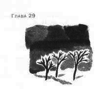 Пруд Белых Лилий - pic_35a.jpg