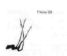 Пруд Белых Лилий - pic_41a.jpg