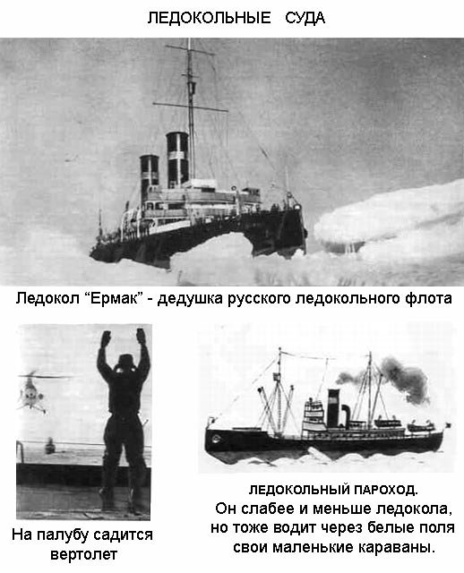 По морям вокруг Земли. Детская морская энциклопедия. Часть I - i_058.jpg