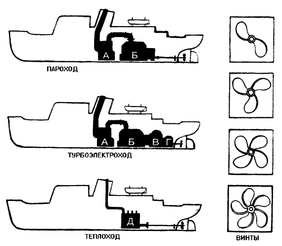 По морям вокруг Земли. Детская морская энциклопедия. Часть I - i_113.png
