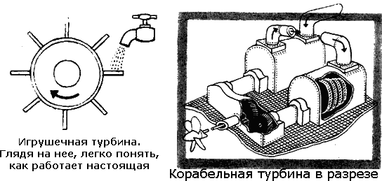 По морям вокруг Земли. Детская морская энциклопедия. Часть I - i_116.png