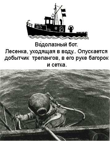 По морям вокруг Земли. Детская морская энциклопедия. Часть III - i_060.png