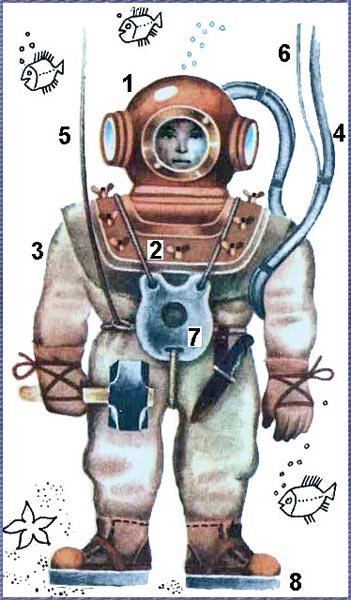 По морям вокруг Земли. Детская морская энциклопедия. Часть III - i_061.jpg