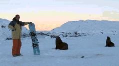Записки переворачивателя пингвинов. - pic_6.jpg