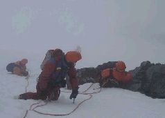 Записки переворачивателя пингвинов. - pic_36.jpg