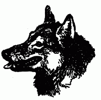 Встречи с животными - img_86.png