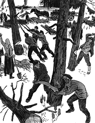 Мишкино детство - any2fbimgloader31.png