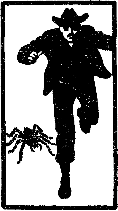 Мертва голова - doc2fb_image_03000006.png