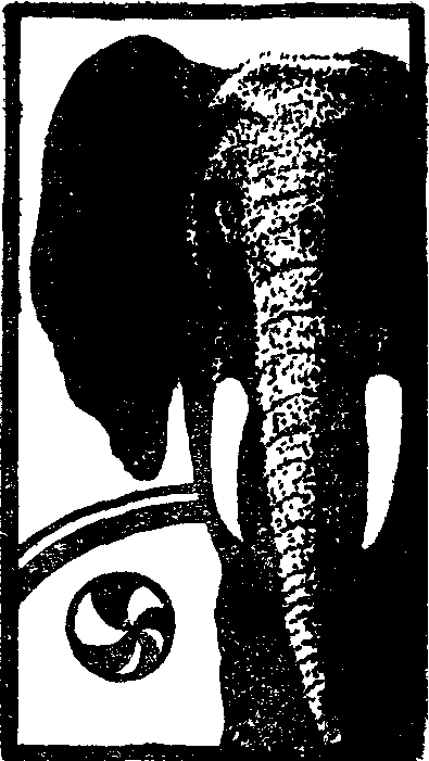 Мертва голова - doc2fb_image_03000007.png