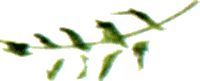 Байкала-озера сказки Том II  разд.1 - i_009.png