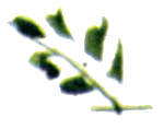 Байкала-озера сказки Том II  разд.1 - i_093.png