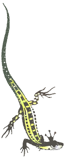 Сказы - i_020.png