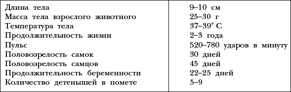 Мыши - _04.png