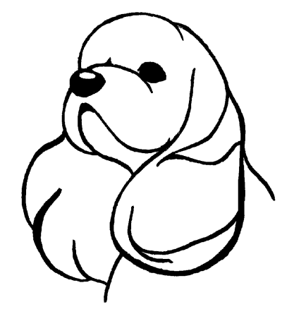 Американский кокер-спаниель - _18.png
