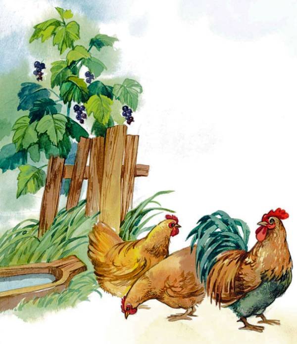 Синие листья - i_068.jpg