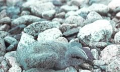 Тропинки в загадочный мир [с иллюстрациями] - pic_56.jpg