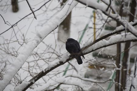 Журнал Компьютерра 11-18.1.2010 - i_062.jpg
