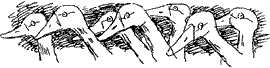 Красная книга сказок кота Мурлыки - i_098.png